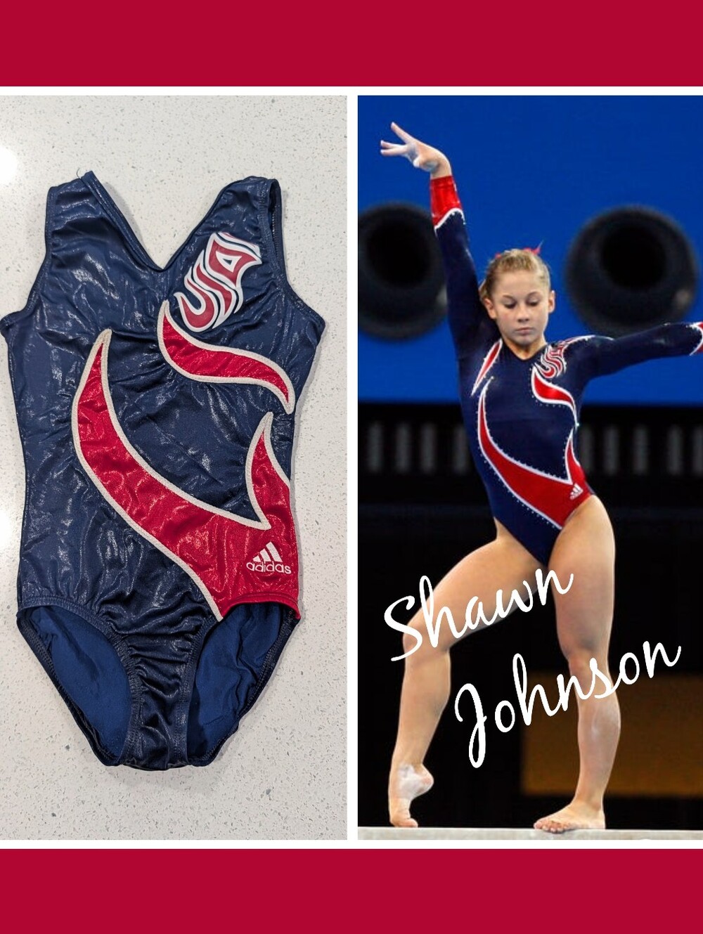 RARE 2008 GK Elite gymnastics dance Leotard AXS SHAWN JOHNSON Olympic REPLICA